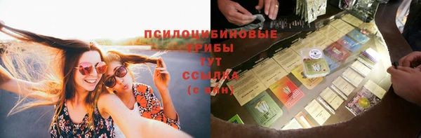 гидра Богданович