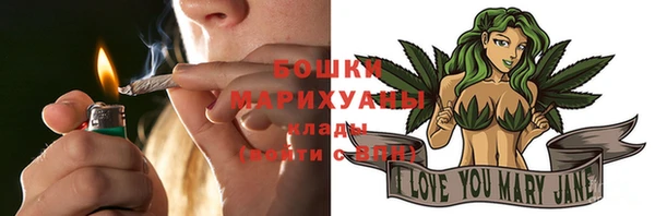 гидра Богданович