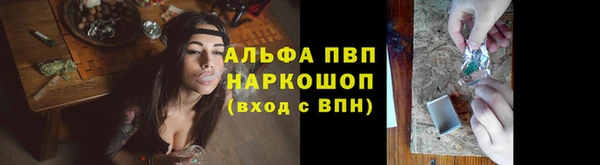 гидра Богданович