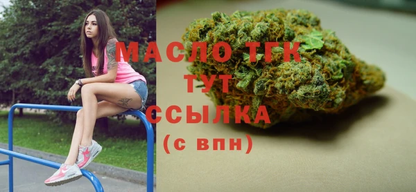 гидра Богданович