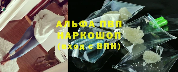 гидра Богданович
