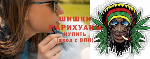 гидра Богданович